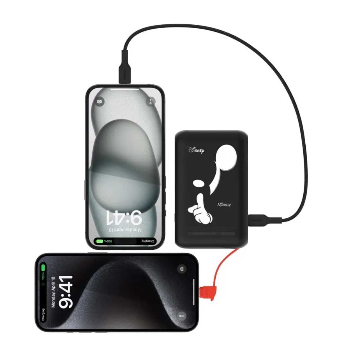 Belkin BoostCharge Power Bank (แบตเตอรี่สำรอง) 10000mAh with Integrated Cable - ArtMickey