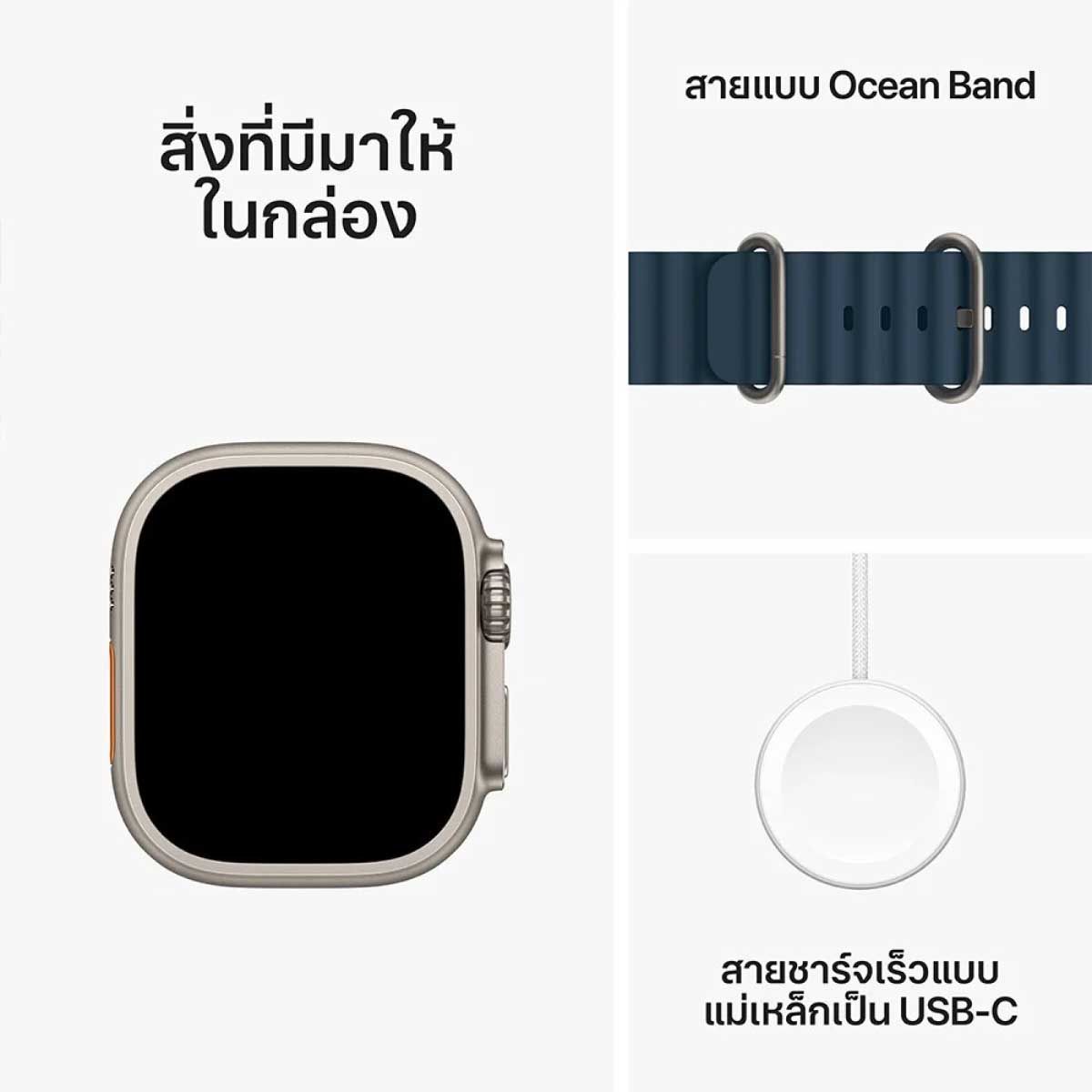 Apple Watch Ultra2 GPS + Cellular 49 mm Titanium Case / Blue Ocean Band