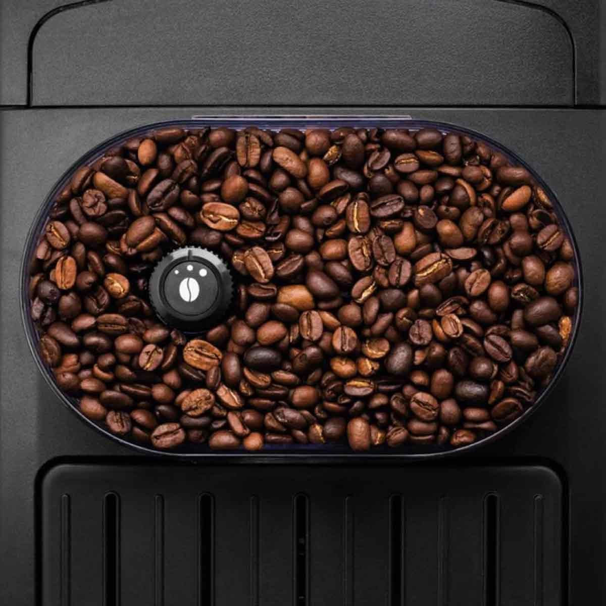 KRUPS  เครื่องชงกาแฟ แรงดัน15บาร์ รุ่น EA817010