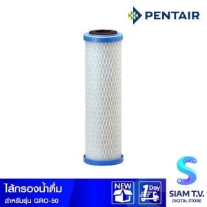PENTAIR ไส้กรองPENTAIR กรองสารอินทรีย์ สำหรับGRO-50
