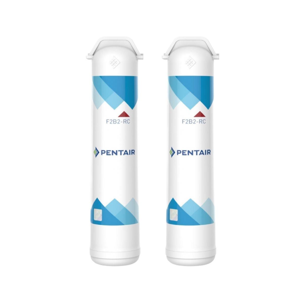 ไส้กรองPENTAIR รุ่นF2B2-RC2 TWIN SET
