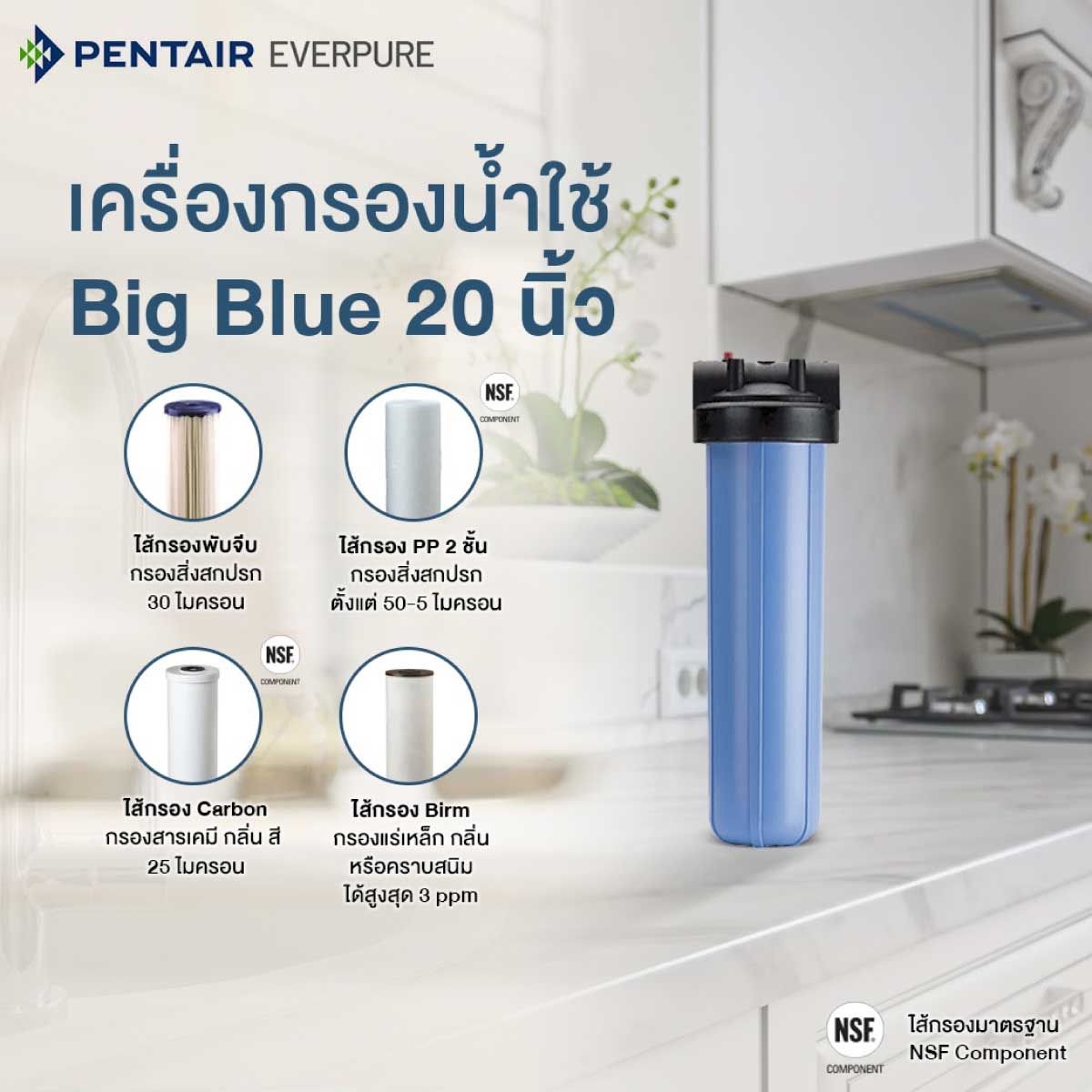 PENTAIR เครื่องกรองน้ำใช้ รุ่นBB20-R30