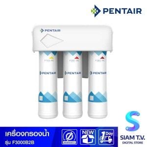 PENTAIR  เครื่องกรองน้ำ รุ่น F-3000-B2B