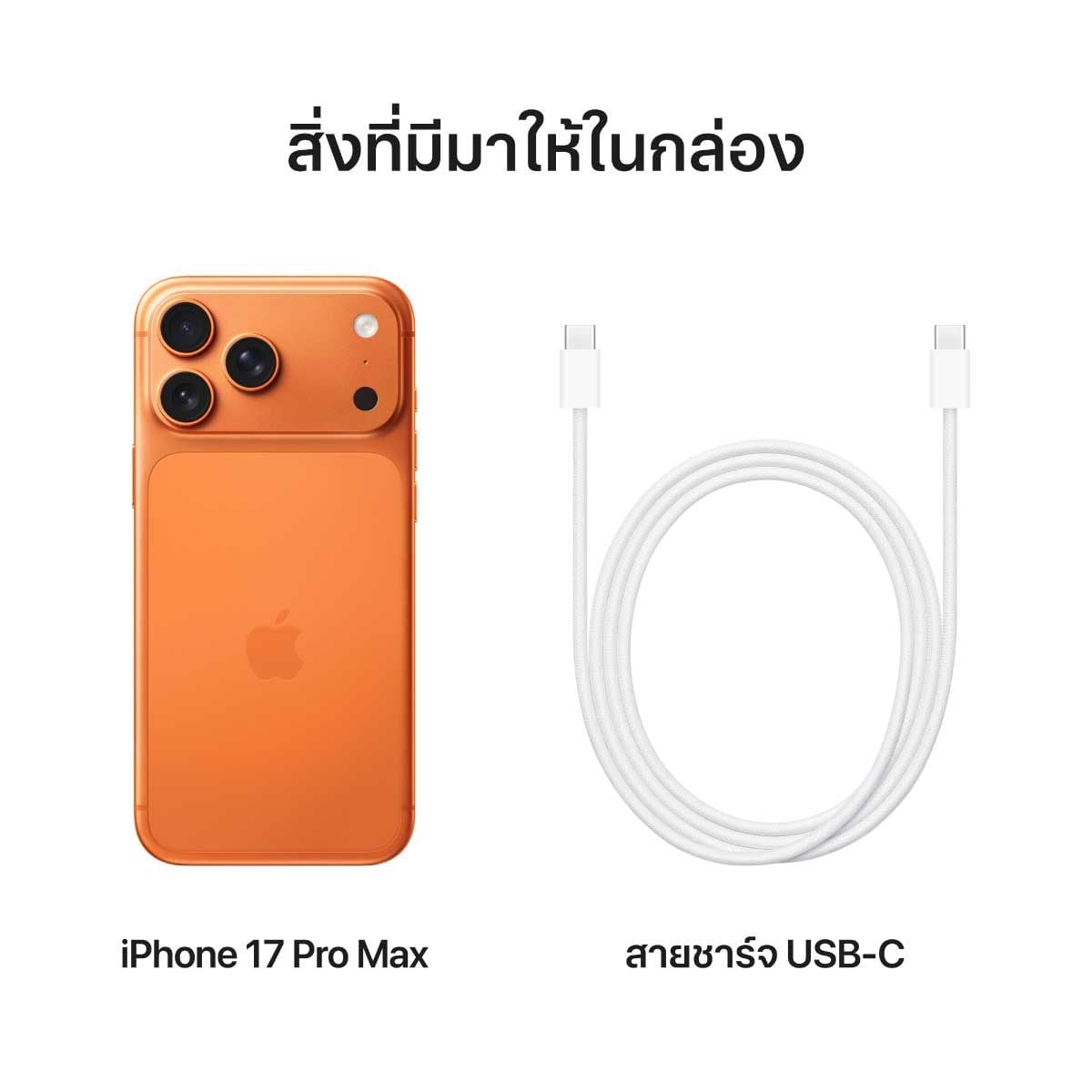 Apple iPhone 17 Pro Max