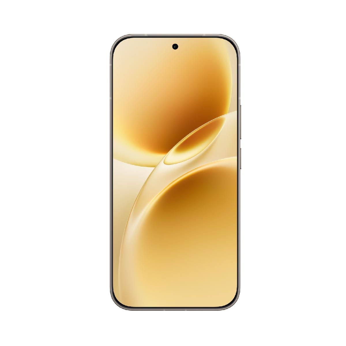 VIVO V70 5G (12/256GB)