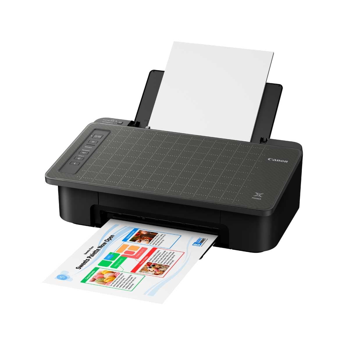 PRINTER (เครื่องพิมพ์) CANON PIXMA TS307A (BLACK)