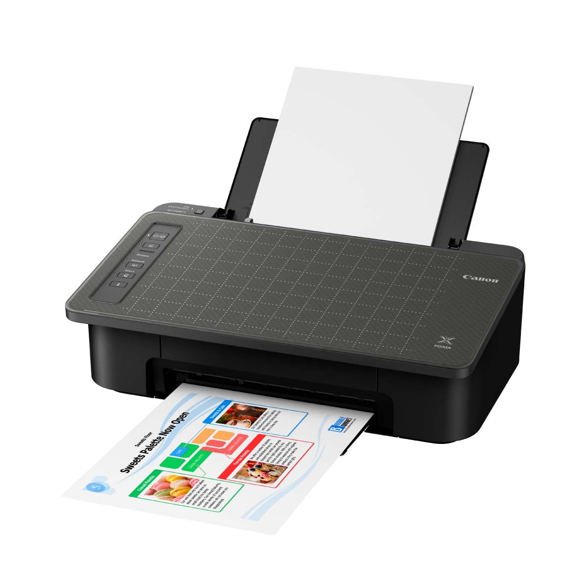 PRINTER (เครื่องพิมพ์) CANON PIXMA TS307 INKJET PRINTER (BLACK)