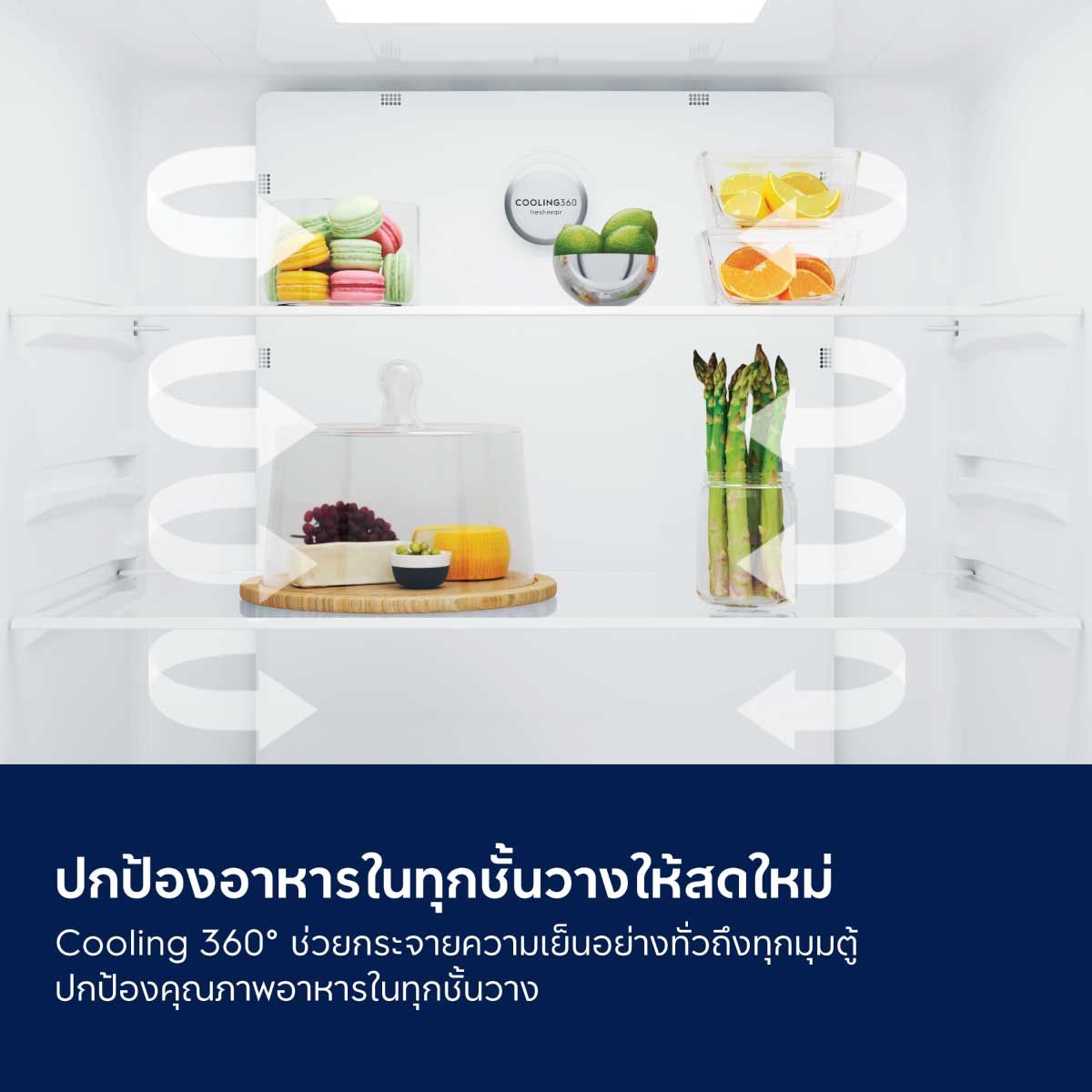 ELECTROLUX ตู้เย็นFrench Door แบบ 4 ประตู ความจุ 496 ลิตร กระจกดำ 17.5Q รุ่นEQE4905A-B