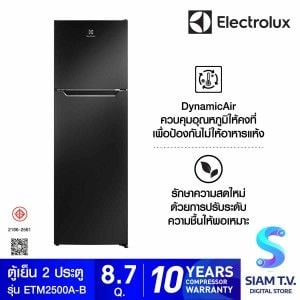 ELECTROLUX ตู้เย็น 2 ประตู  8.7Q Inverter สีดำ รุ่น ETM2500A-B