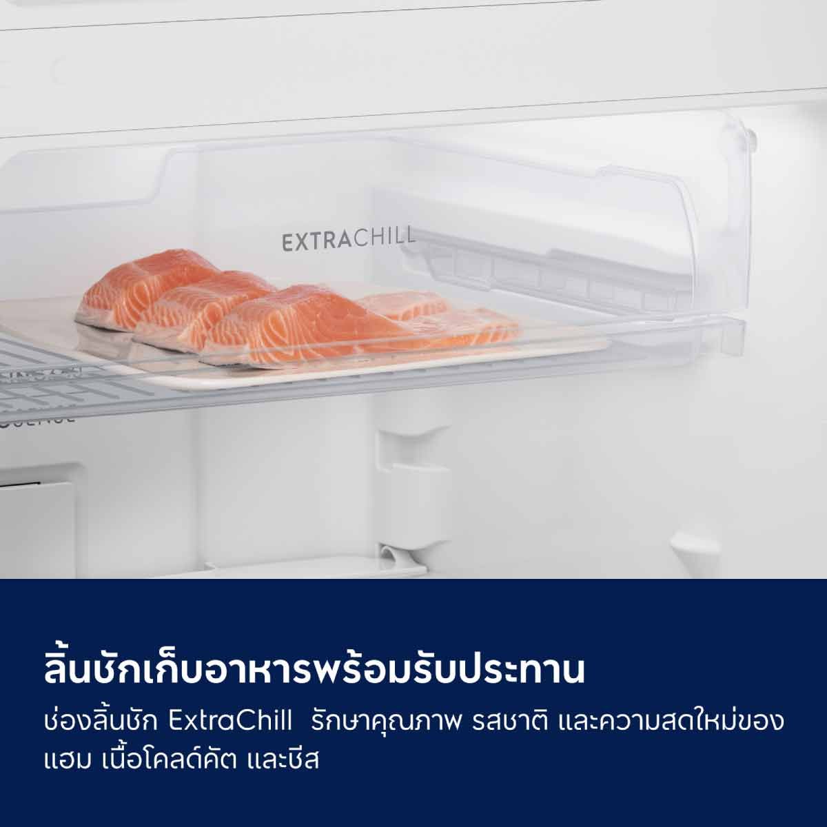 ELECTROLUX ตู้เย็น 2 ประตู  8.7Q Inverter สีดำ รุ่น ETM2500A-B