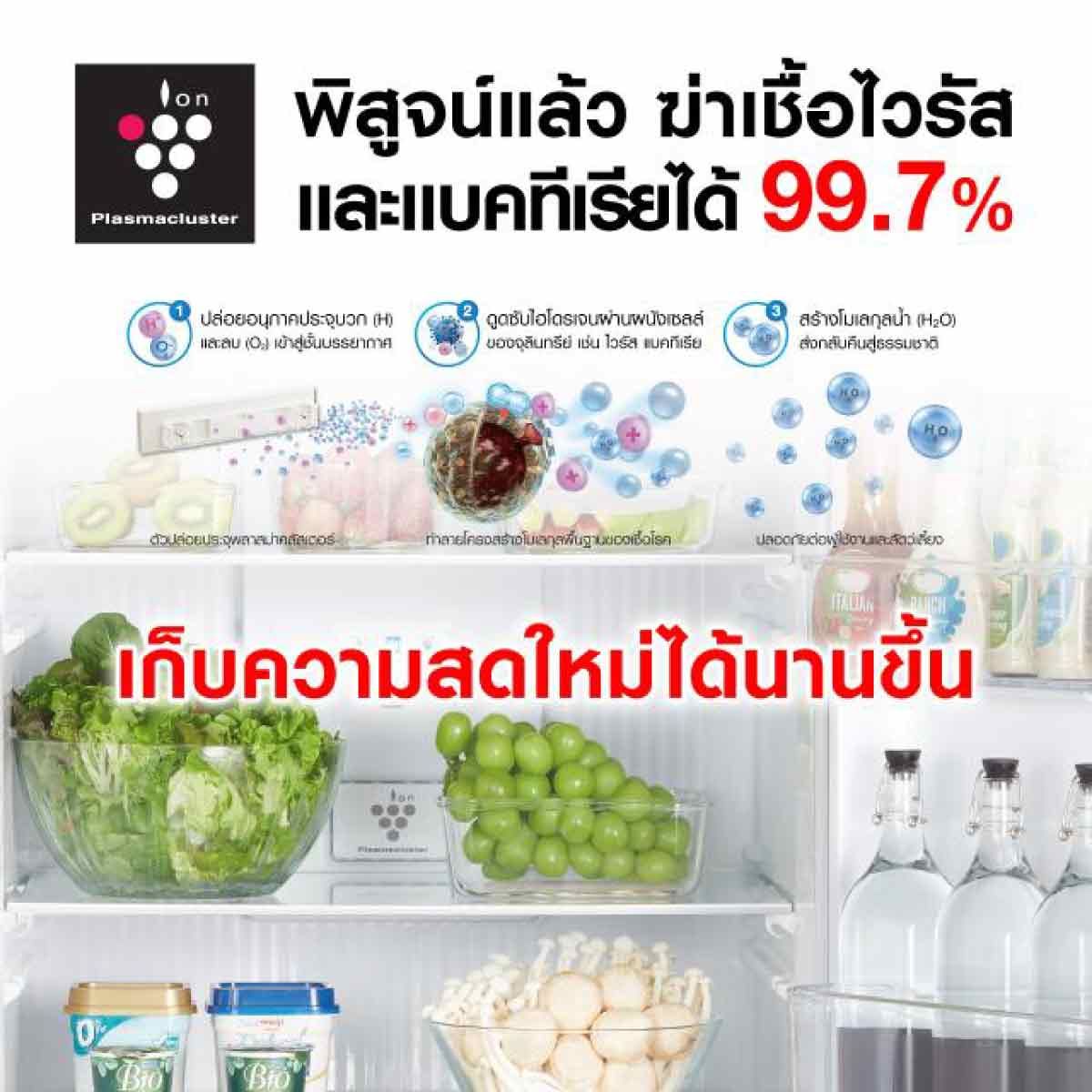 SHARP  ตู้เย็น 2 ประตู 15.2Q Inverter สีเทาเข้ม รุ่น SJ-XP470TP-DK