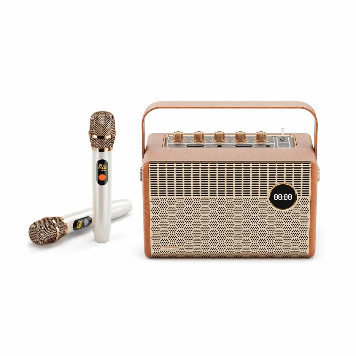 ACONATIC ลำโพง Bluetooth 100W พร้อมไมค์คู่ รุ่น AN-SP179 สีนํ้าตาล