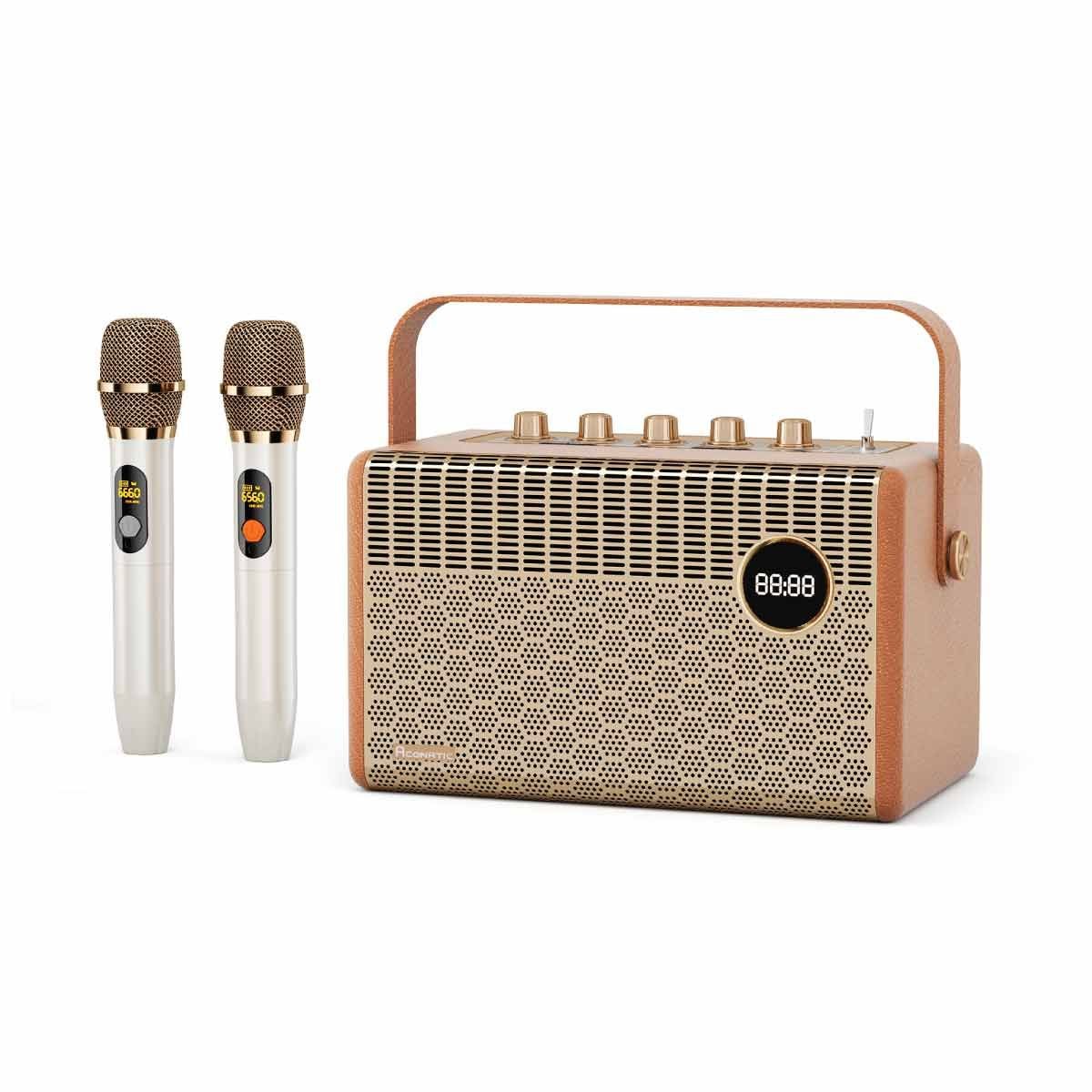 ACONATIC ลำโพง Bluetooth 100W พร้อมไมค์คู่ รุ่น AN-SP179 สีนํ้าตาล