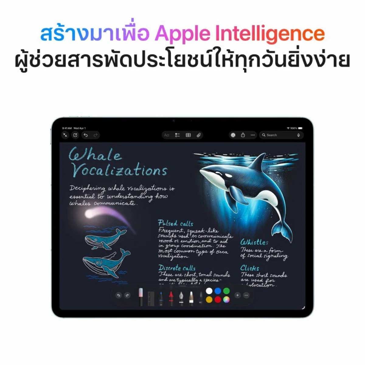 Apple iPad Air รุ่น 11 นิ้ว ชิป M4 Wi-Fi + Cellular
