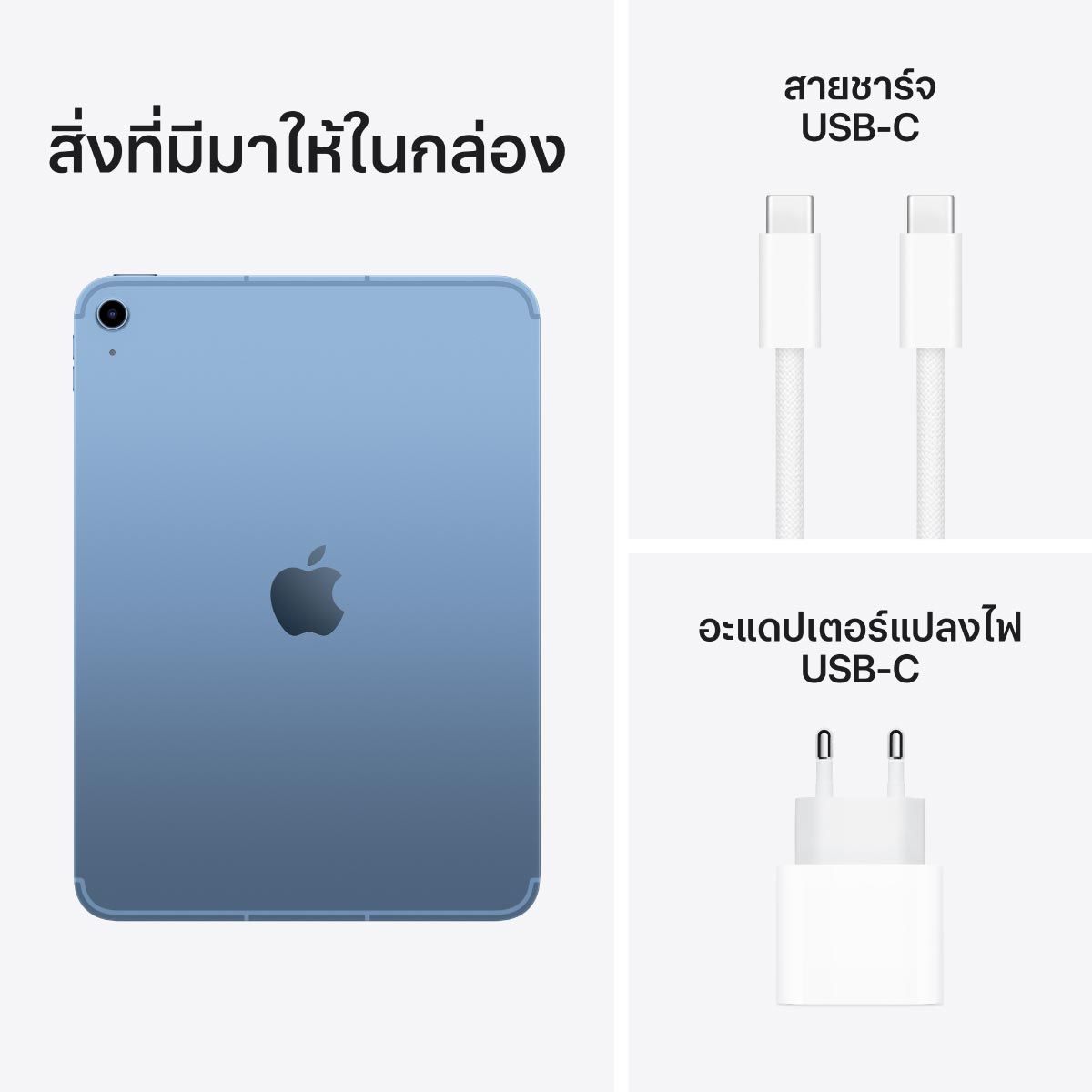 Apple iPad รุ่นที่ 11 ชิป A16 Wi-Fi + Cellular