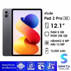 Redmi Pad2 Pro 5G (8/256GB) Gray