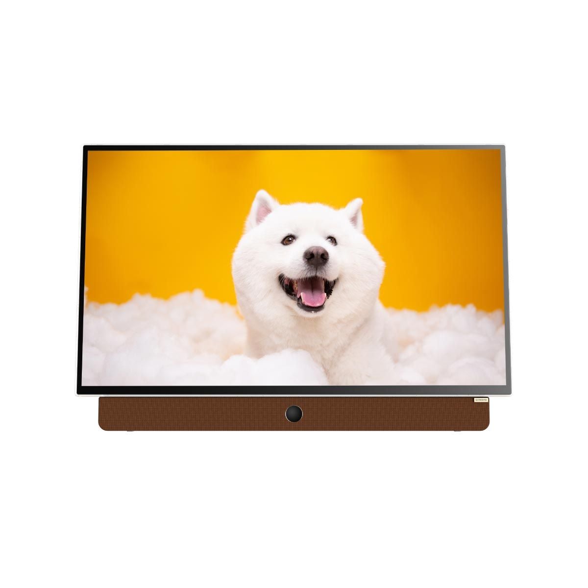 SKYWORTH LED TV Google TV รุ่น 24LP6000G  แบบพกพา แบตตอรีในตัว ขนาด 24 นิ้ว