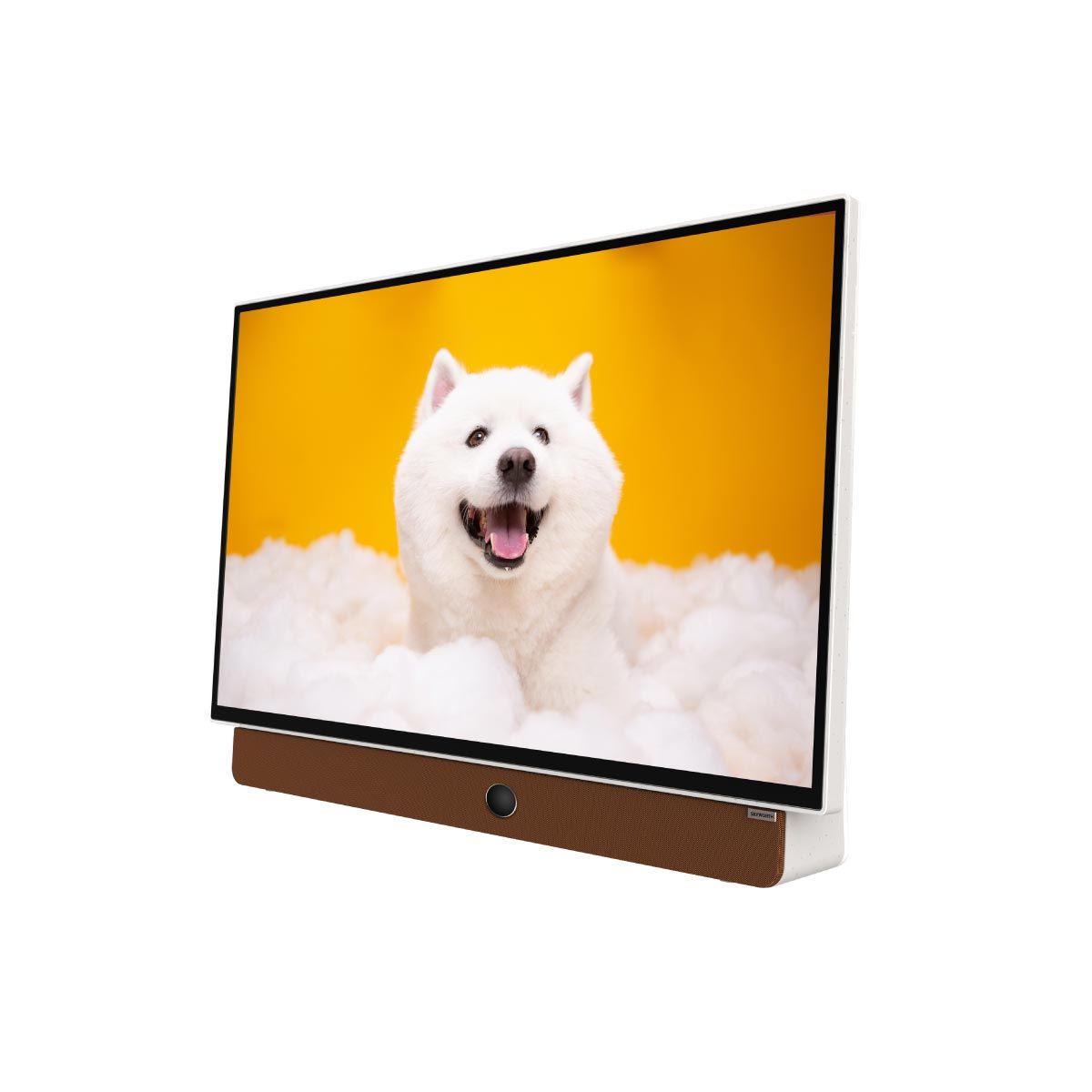 SKYWORTH LED TV Google TV รุ่น 24LP6000G  แบบพกพา แบตตอรีในตัว ขนาด 24 นิ้ว