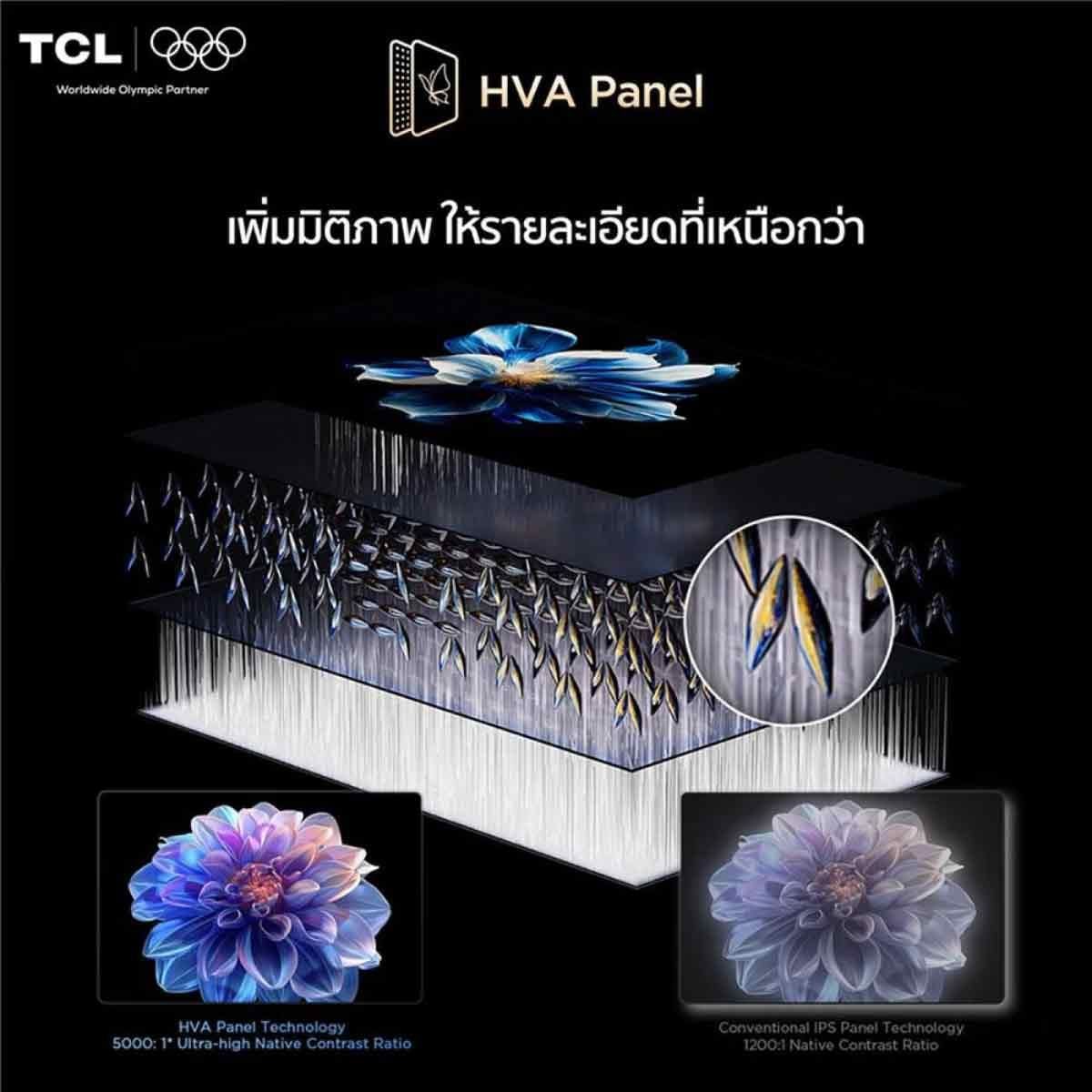 TCL QLED TV 4K Google TV 60 Hz รุ่น 75T6D Smart TV ขนาด 75 นิ้ว